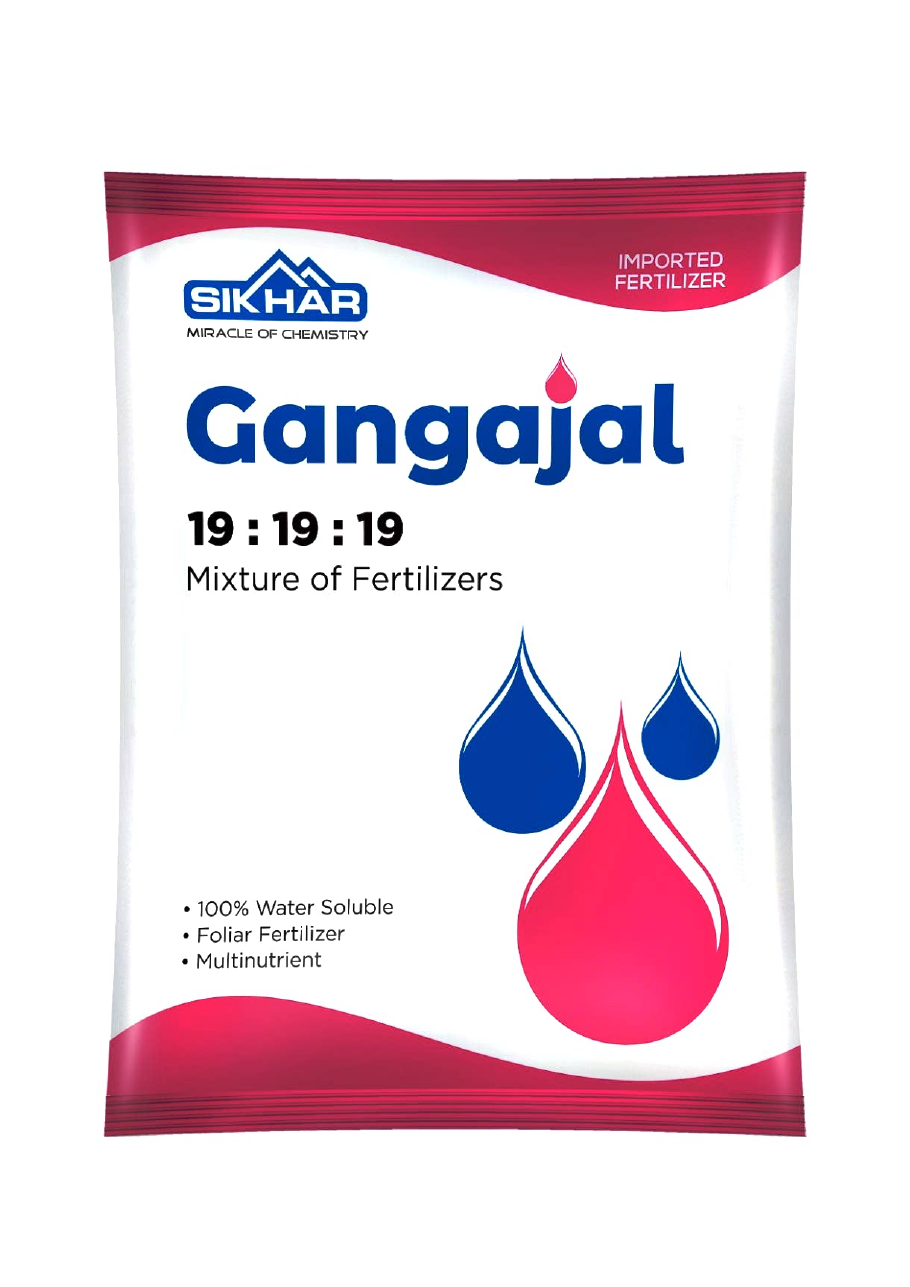 Gangajal 19:19:19