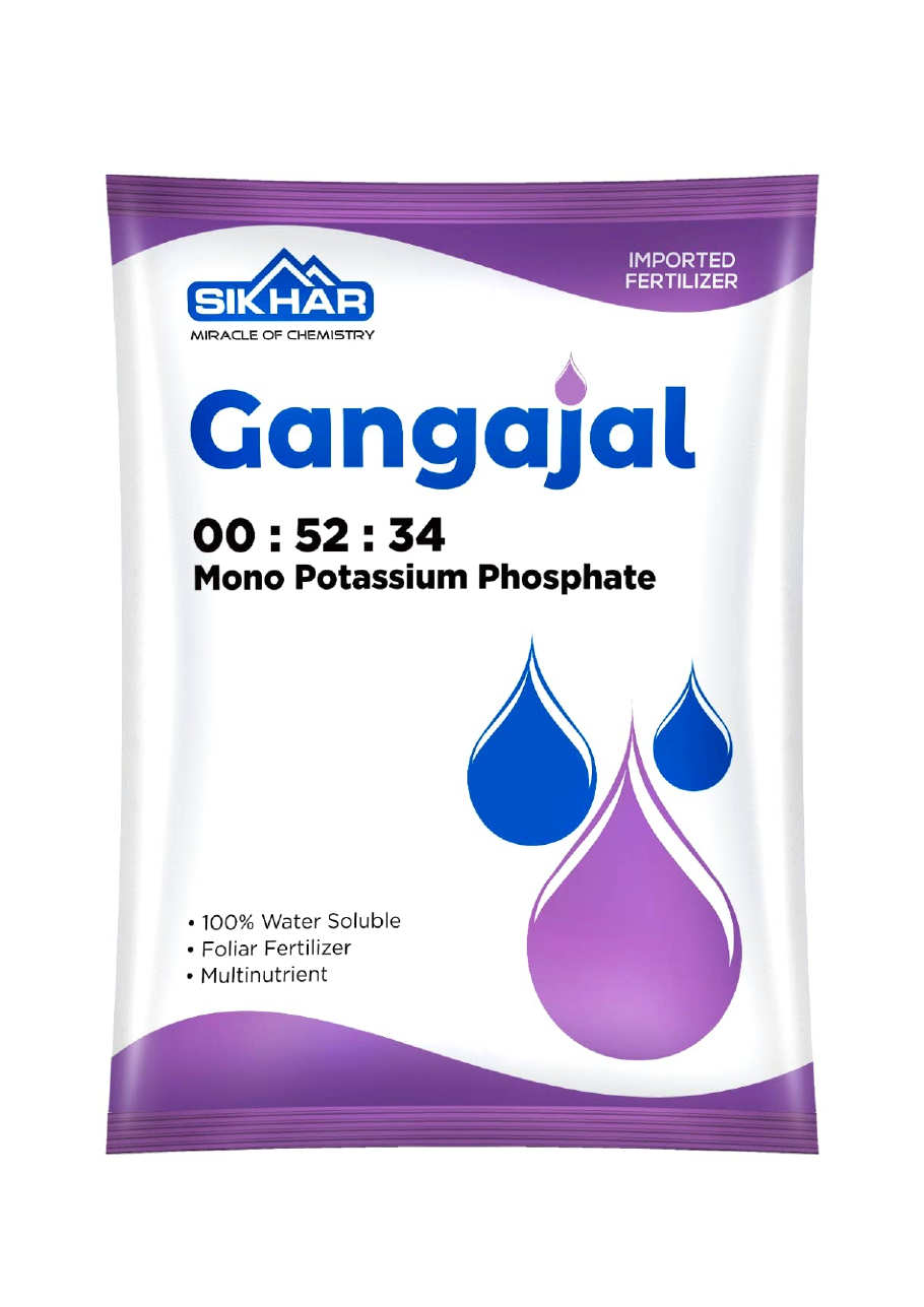 Gangajal 00:52:34