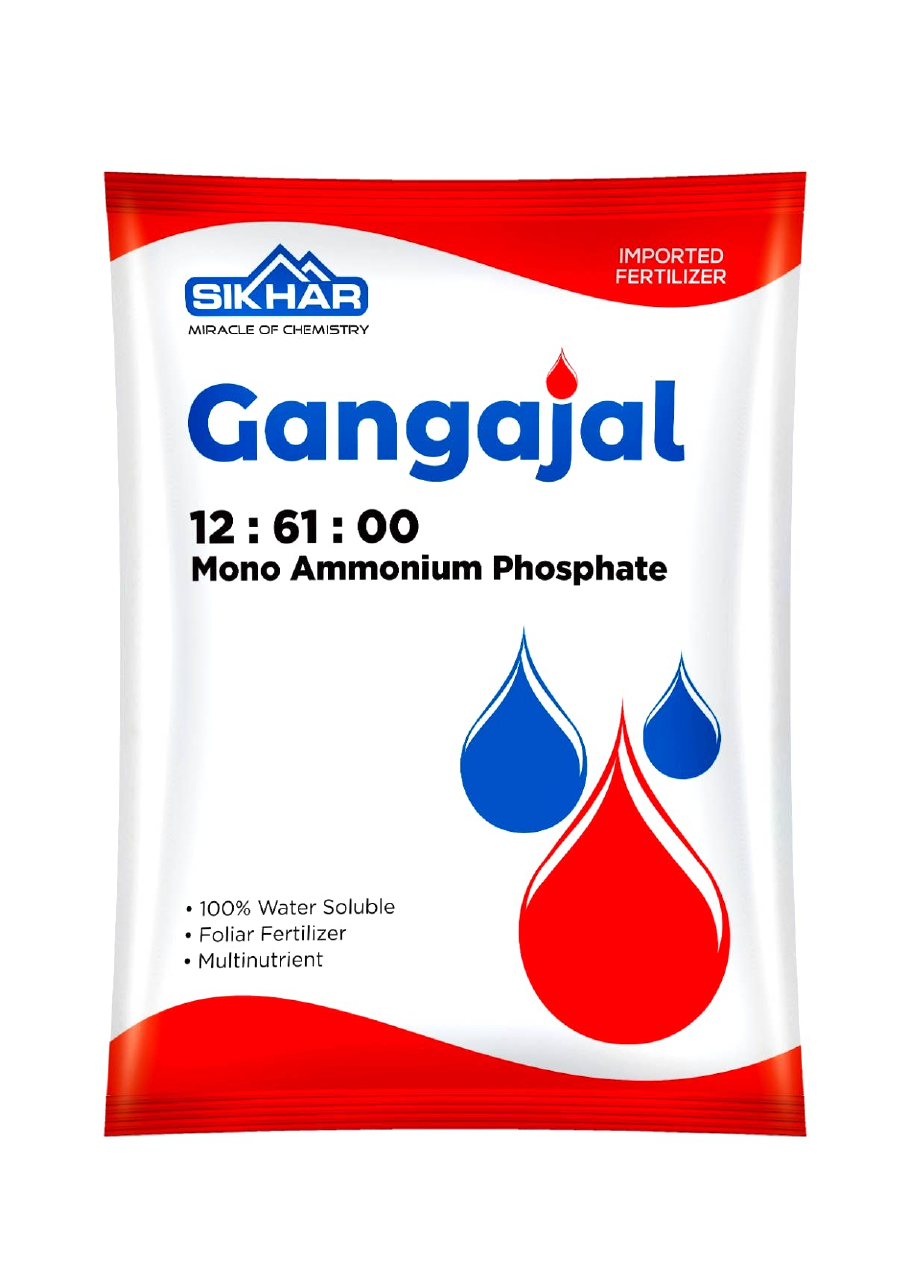 Gangajal 12:61:00