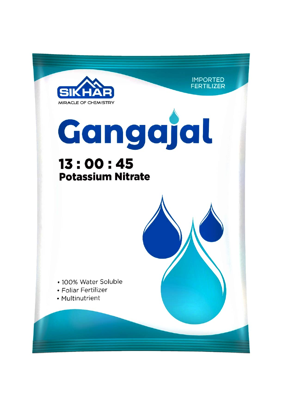 Gangajal 13:00:45