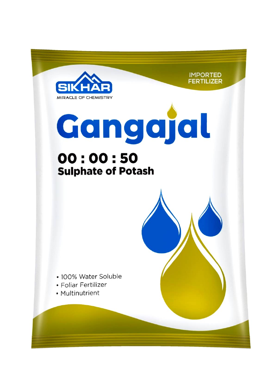 Gangajal 00:00:50