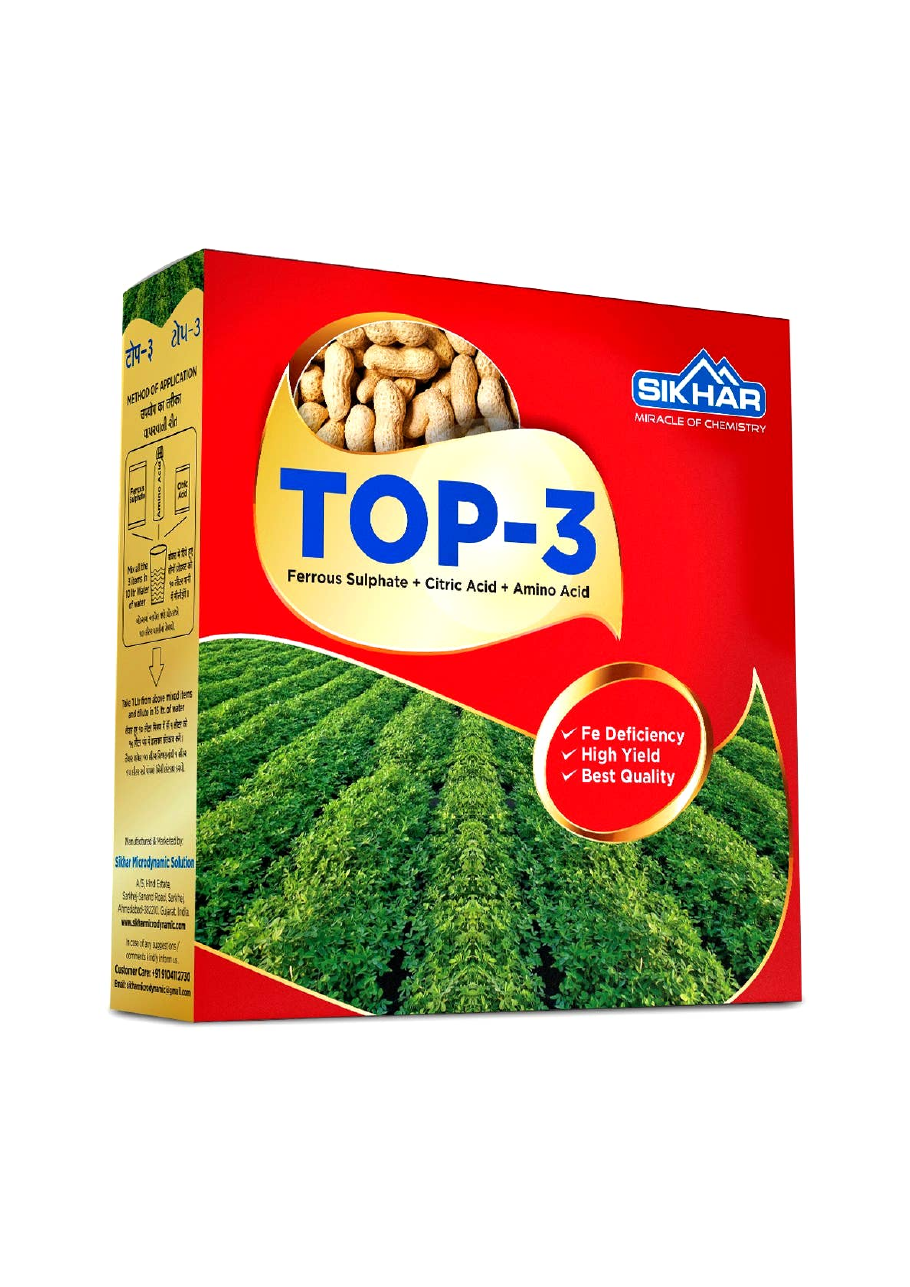 TOP-3