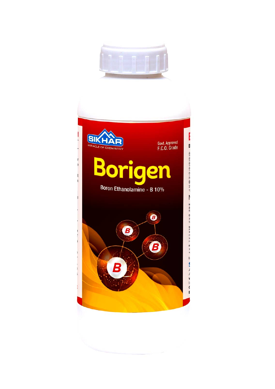 Borigen