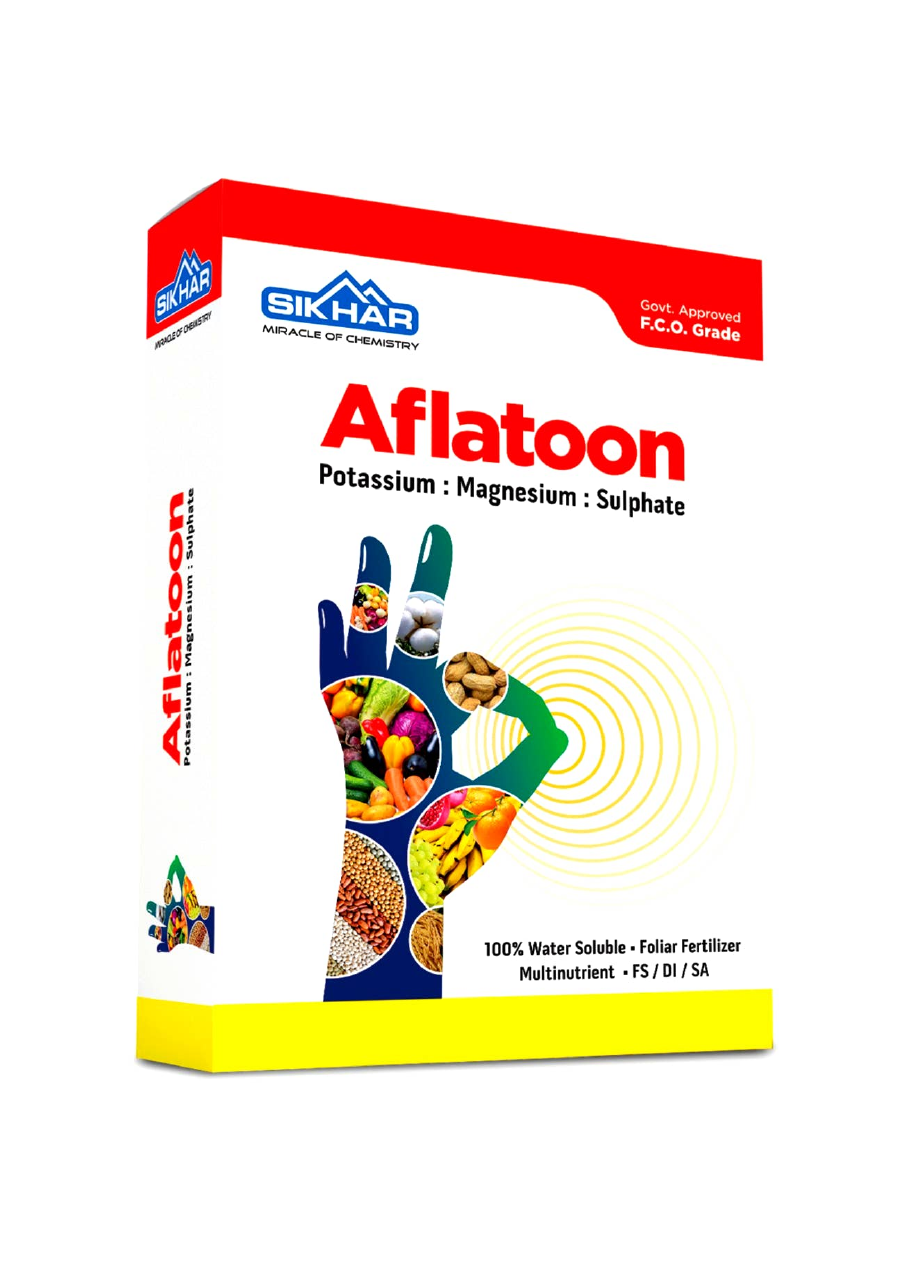 Aflatoon