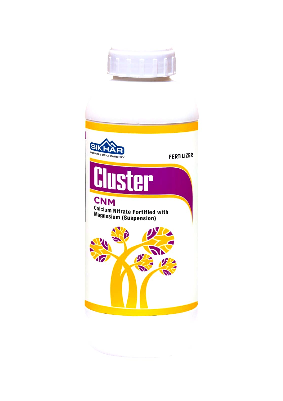 Cluster CNM