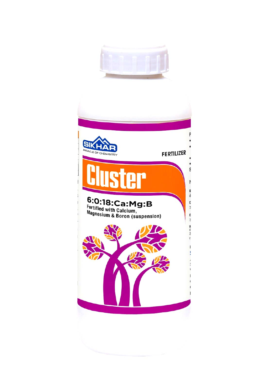 Cluster 6:0:18:Ca:Mg:B