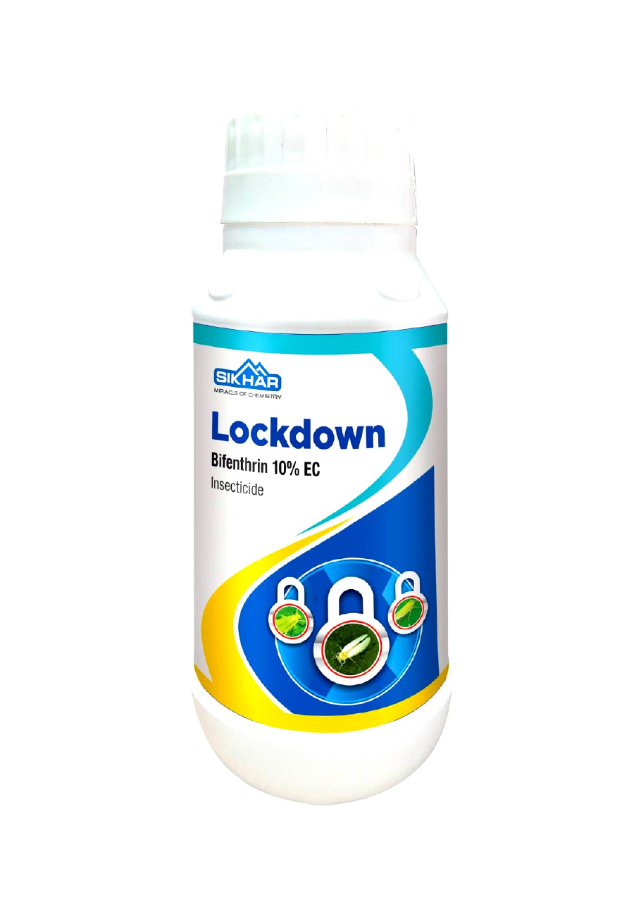 Lockdown