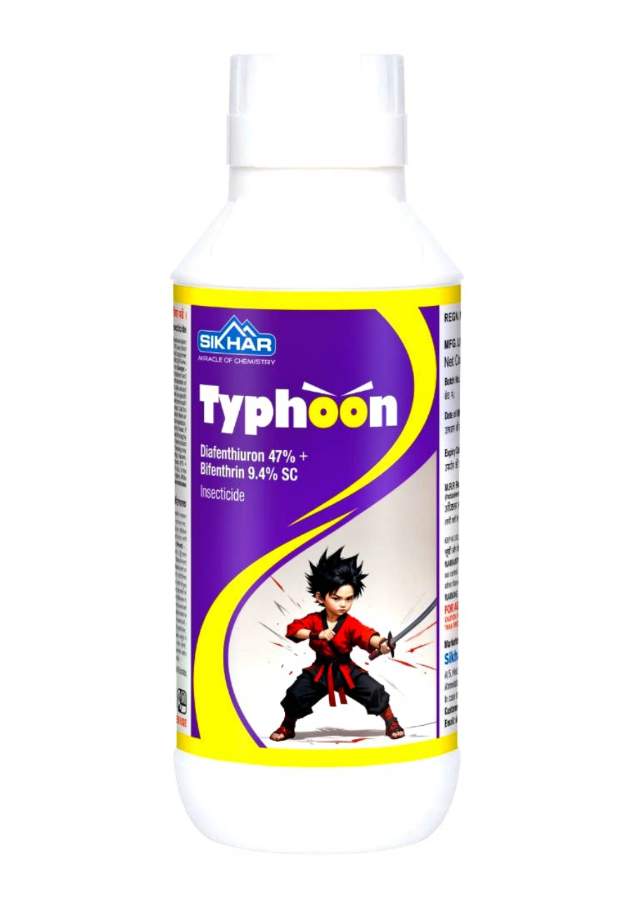 Typhoon