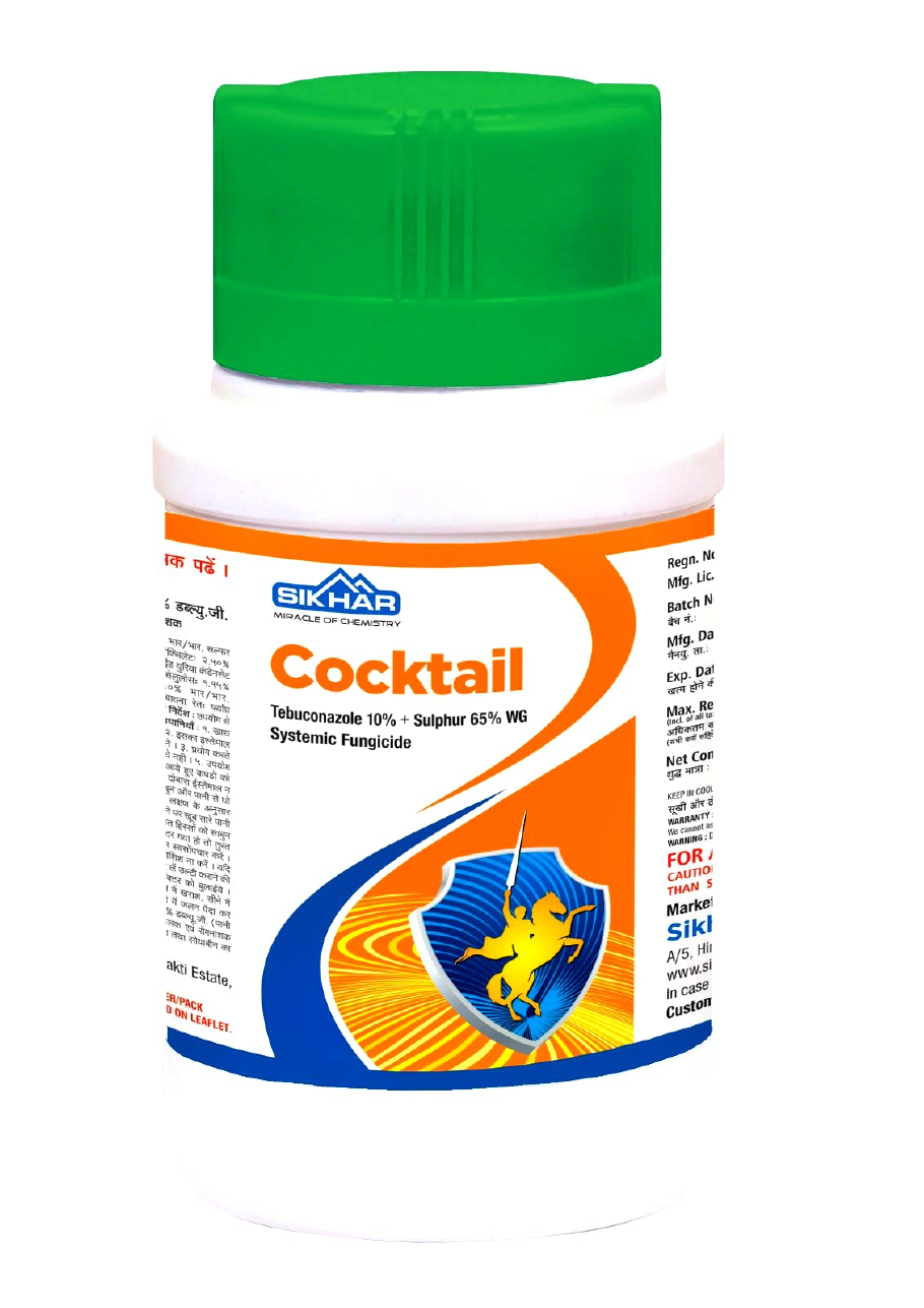 Cocktail