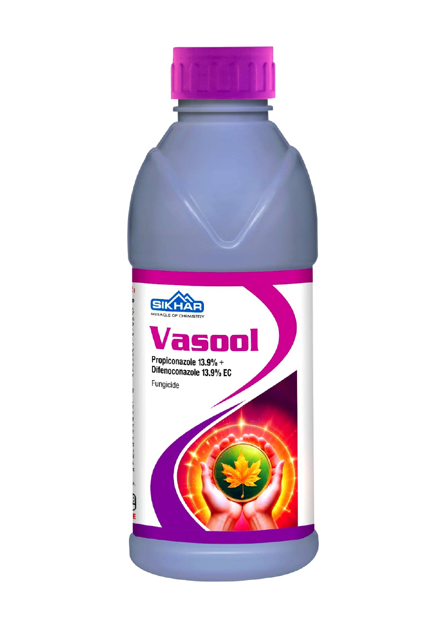 Vasool
