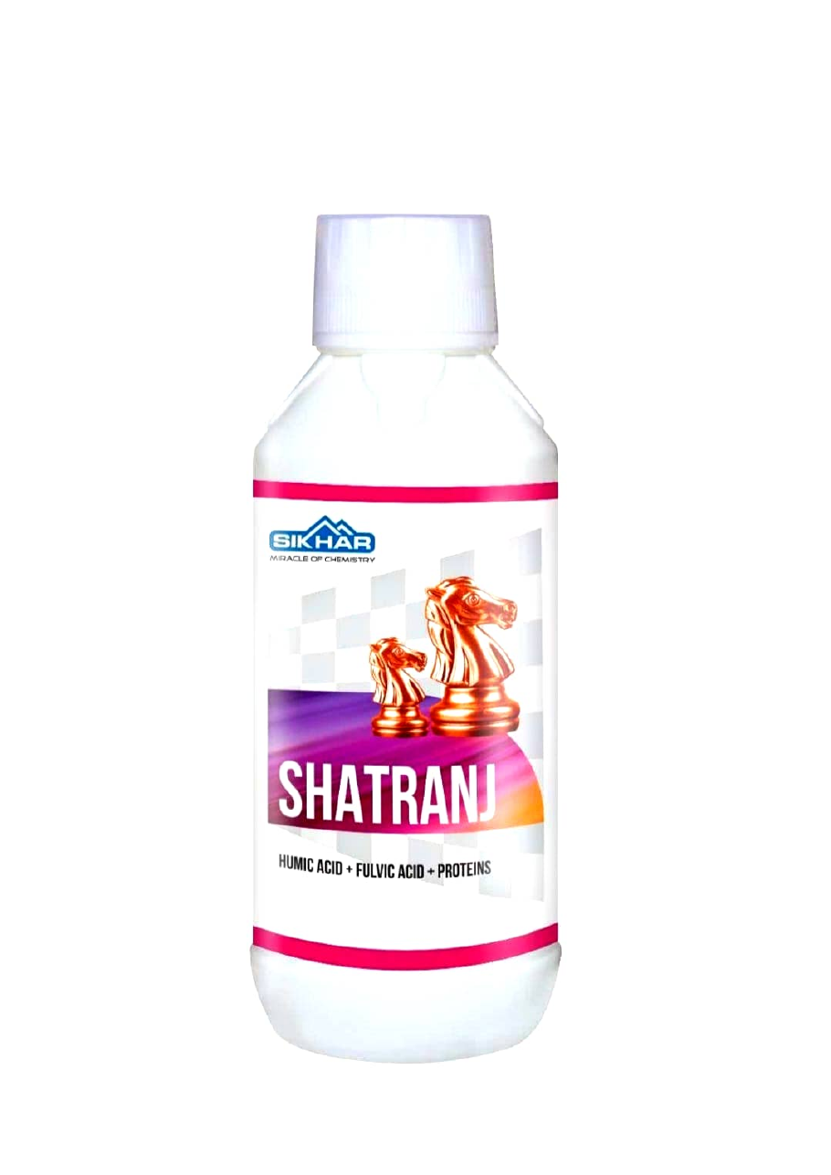 Shatrani