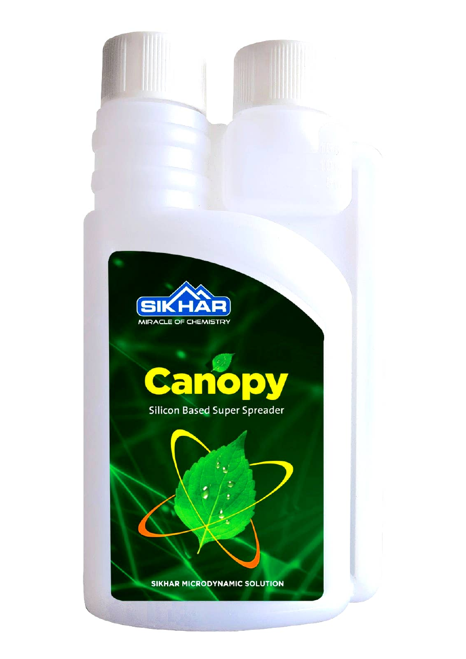Canopy