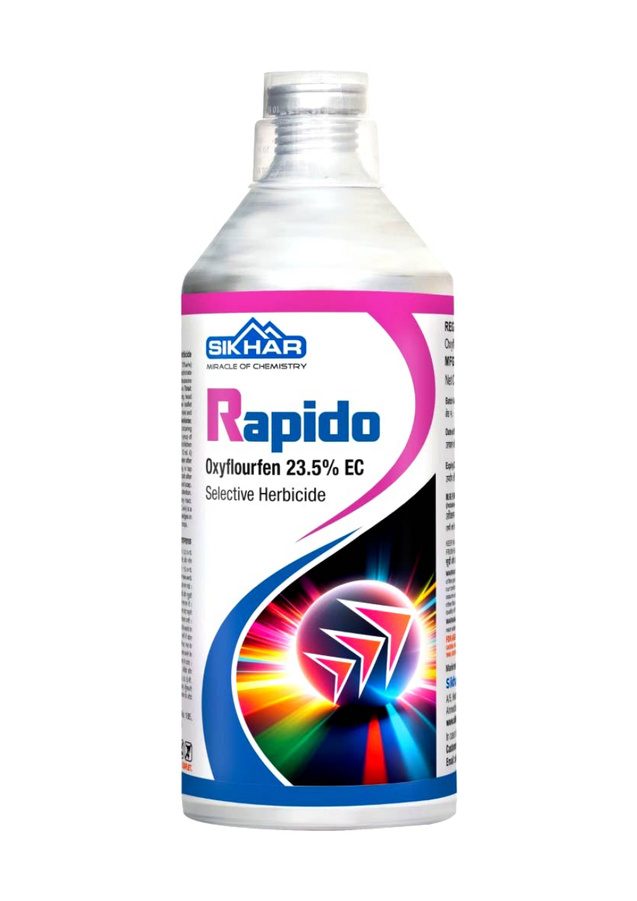 Rapido